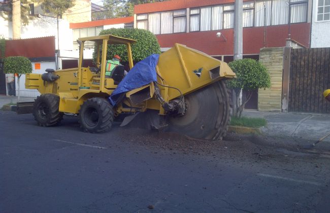 Coyoacn20121019006164